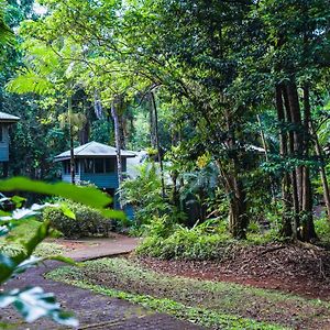 Ferntree Rainforest Lodge